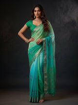 MIMOSA Rama Jaipur Saree — pose 4 styling detail