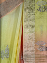 MIMOSA Yellow Jaipur Pure Viscose Chiffon Saree — fleets shot full lifestyle