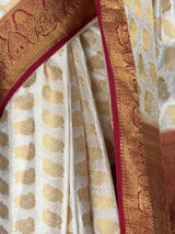 MIMOSA Saree Saree — fleets shot full lifestyle