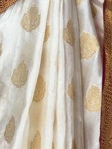 MIMOSA Saree Saree — fleets shot full lifestyle
