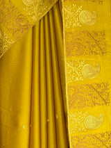 MIMOSA Gold Saree Saree — fleets shot full lifestyle