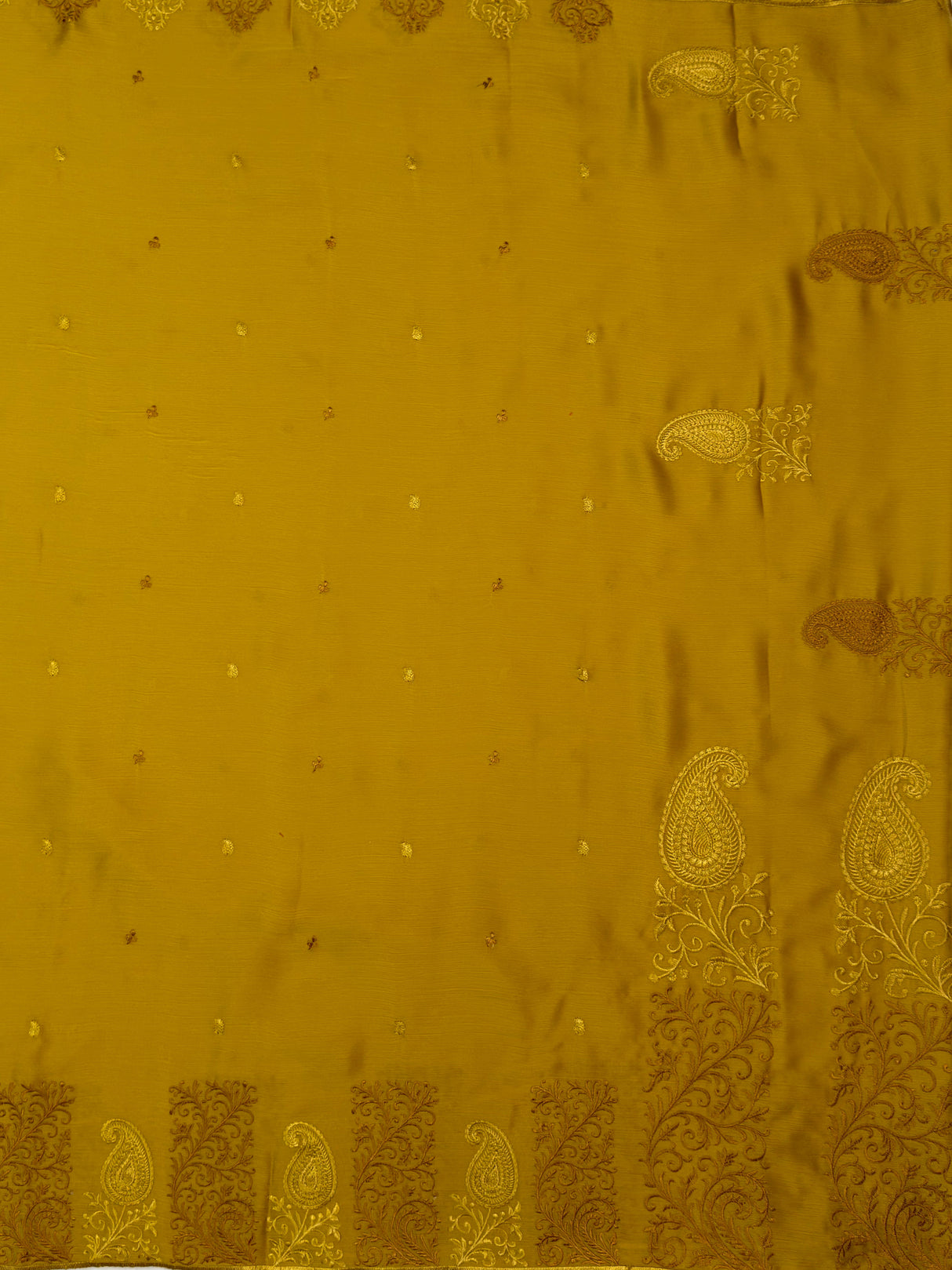MIMOSA Gold Saree Saree — pallu and zari work detail