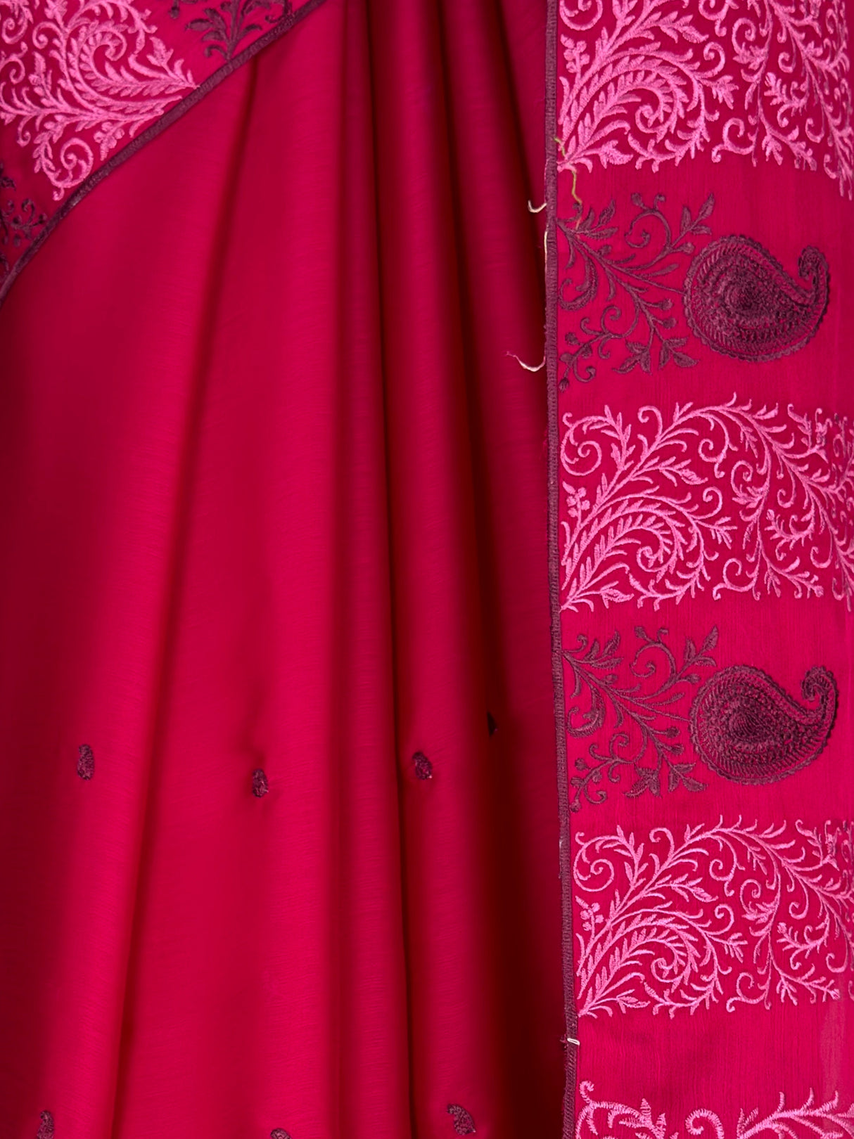 MIMOSA Rani Saree Saree — fleets shot full lifestyle