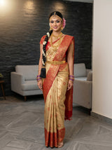Chiku  Saree