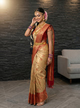 MIMOSA Chiku Saree Saree — pose 3 styling detail