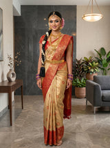 MIMOSA Chiku Saree Saree — pose 5 styling detail