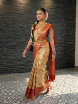 MIMOSA Chiku Saree Saree — pose 6 styling detail