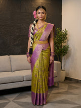 Olive  Saree