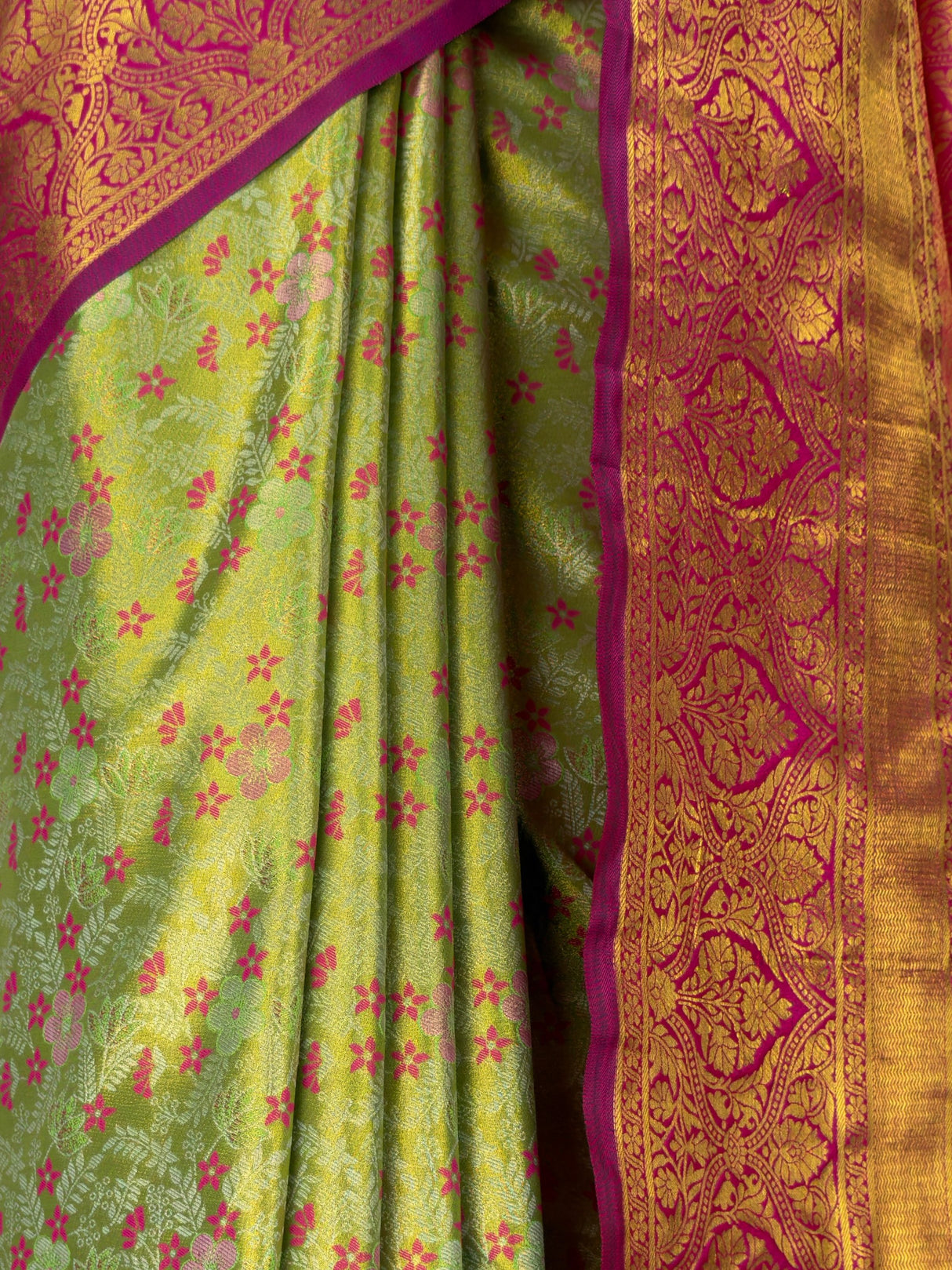 MIMOSA Saree Saree — fleets shot full lifestyle