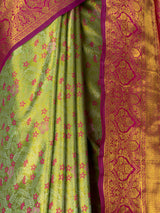 MIMOSA Saree Saree — fleets shot full lifestyle