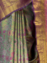 MIMOSA Saree Saree — fleets shot full lifestyle