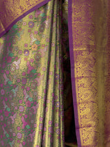 MIMOSA Saree Saree — fleets shot full lifestyle