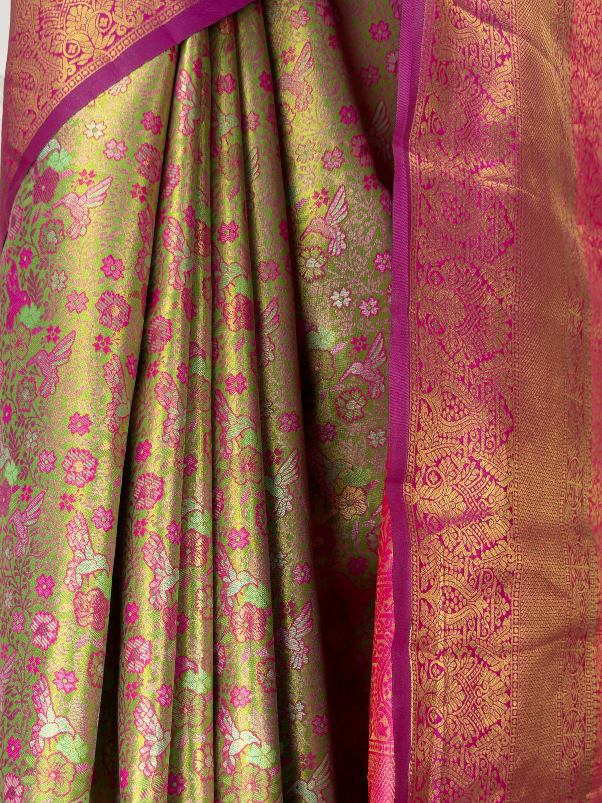 MIMOSA Saree Saree — fleets shot full lifestyle