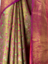 MIMOSA Saree Saree — fleets shot full lifestyle