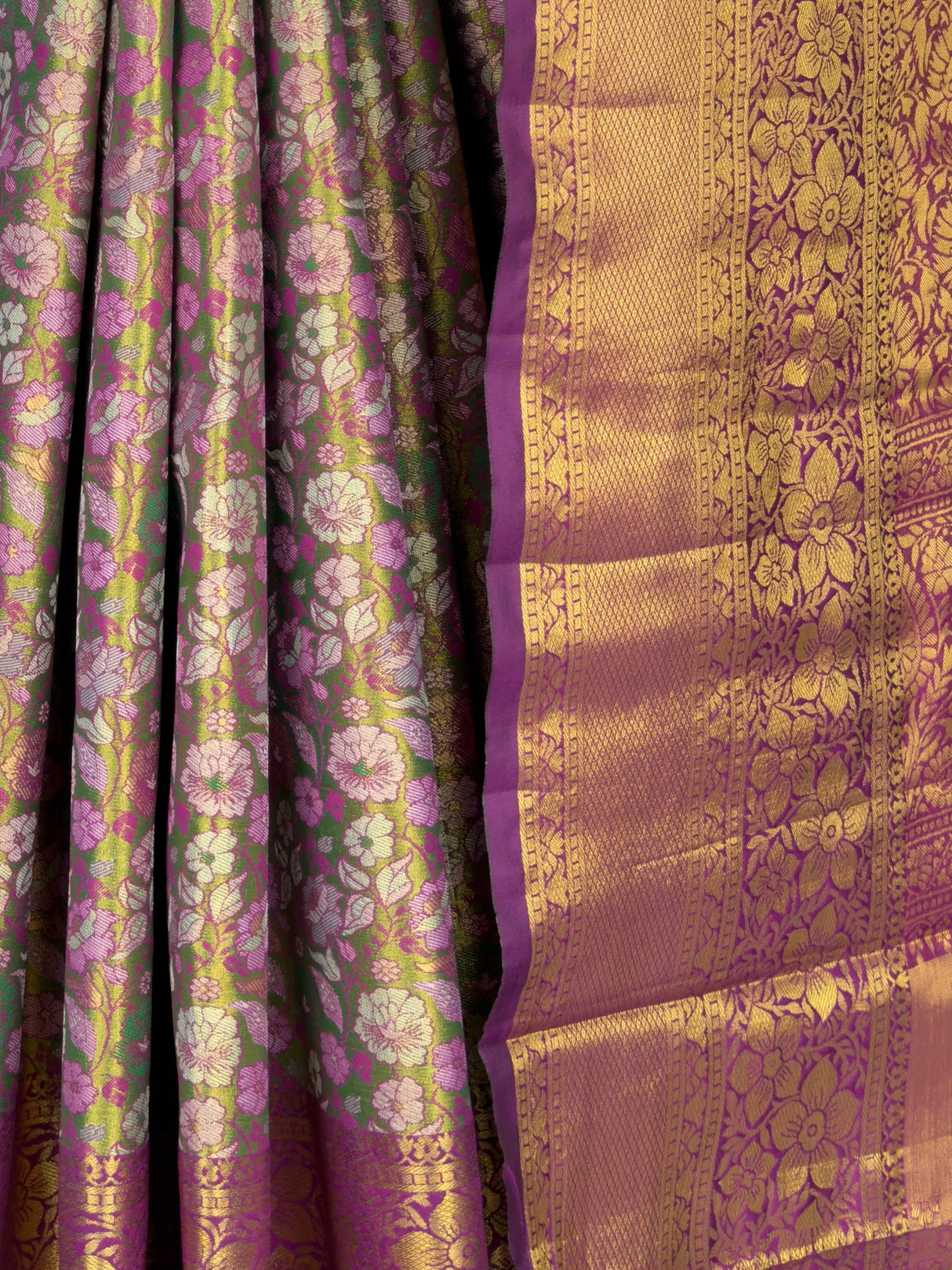 MIMOSA Green Saree Saree — fleets shot full lifestyle
