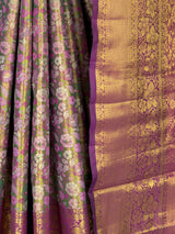 MIMOSA Green Saree Saree — fleets shot full lifestyle