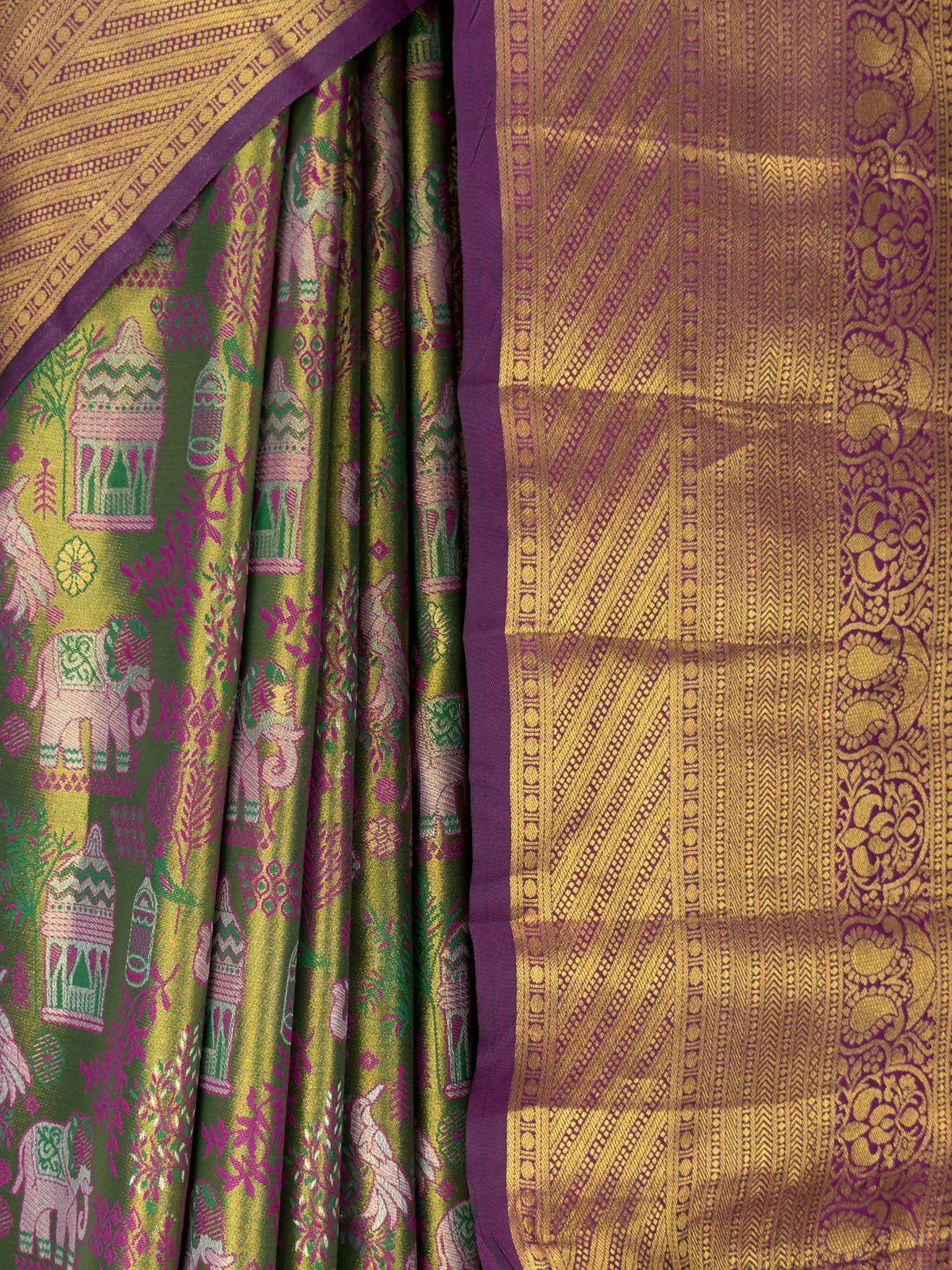 MIMOSA Green Saree Saree — fleets shot full lifestyle