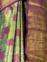 MIMOSA Green Saree Saree — fleets shot full lifestyle