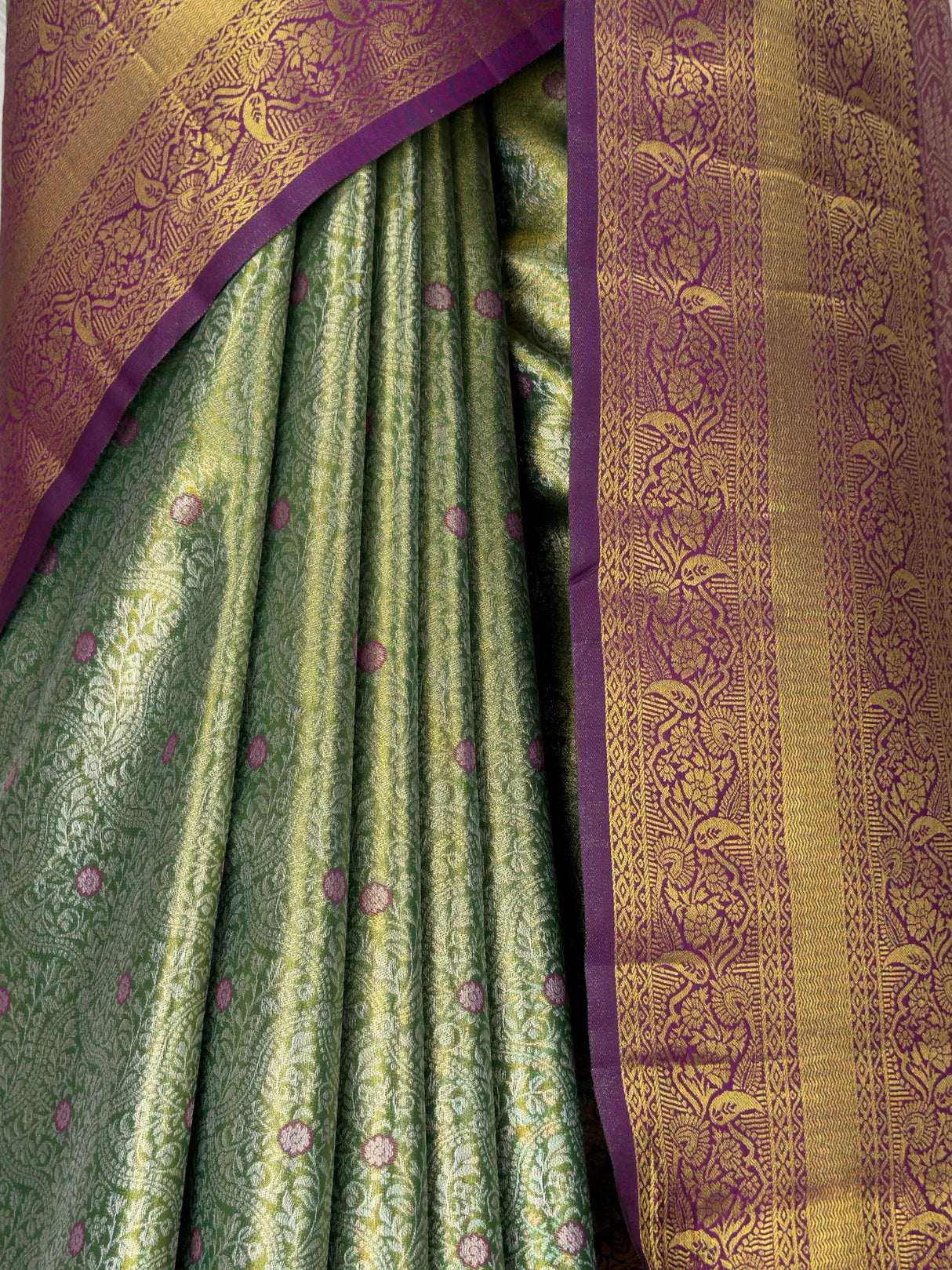 MIMOSA Saree Saree — fleets shot full lifestyle