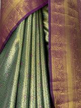 MIMOSA Saree Saree — fleets shot full lifestyle