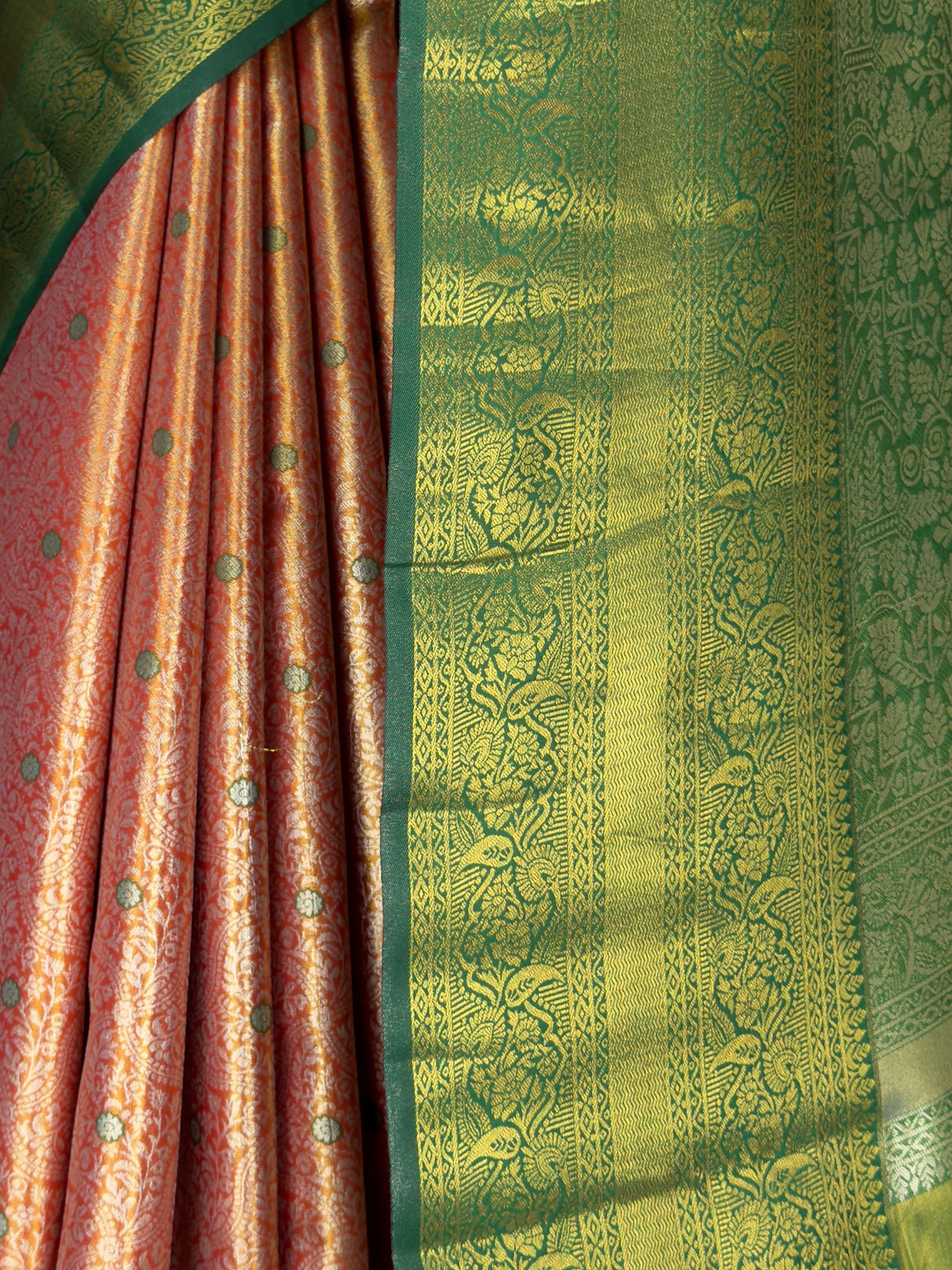 MIMOSA Saree Saree — fleets shot full lifestyle