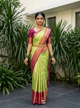 MIMOSA Saree Saree — front view on mannequin