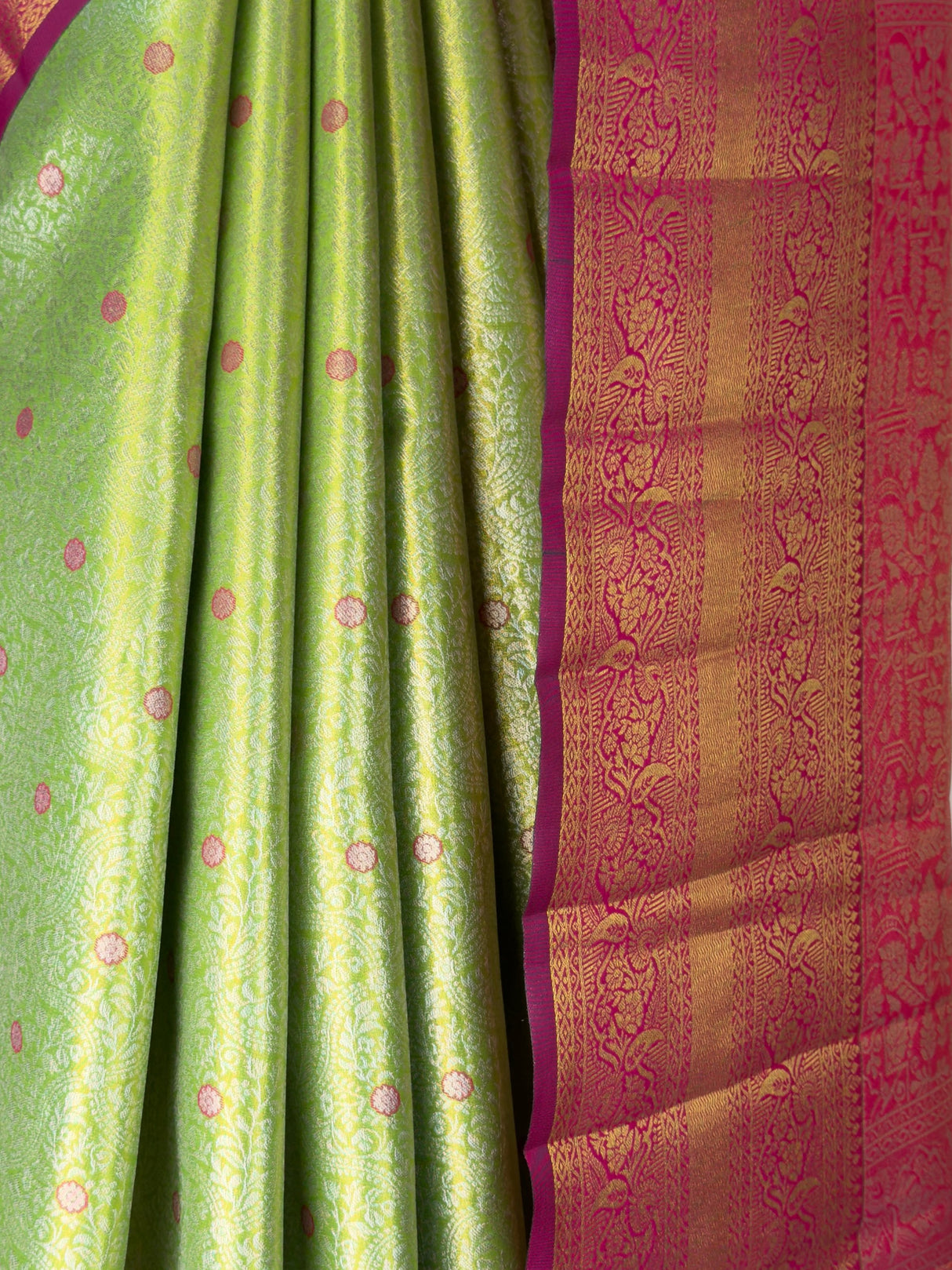 MIMOSA Saree Saree — fleets shot full lifestyle