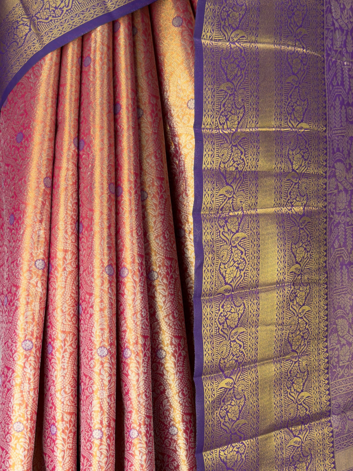 MIMOSA Saree Saree — fleets shot full lifestyle