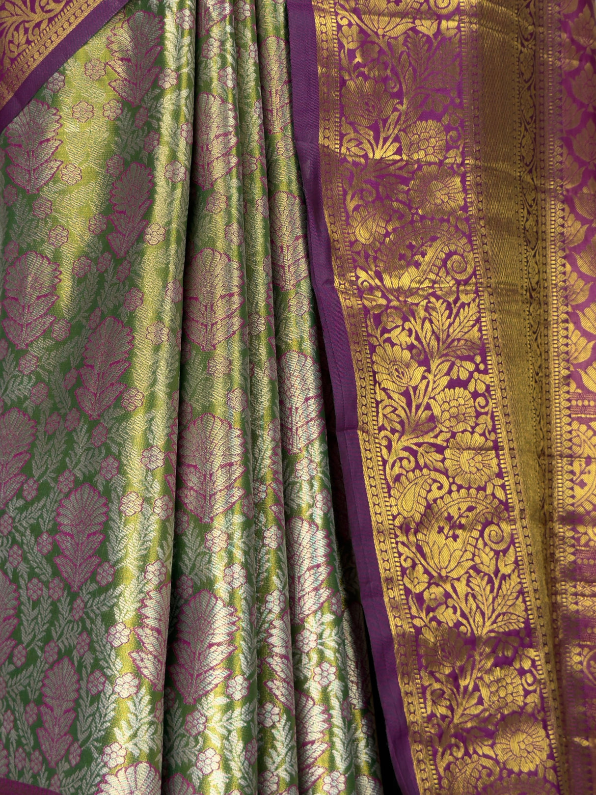 MIMOSA Saree Saree — fleets shot full lifestyle