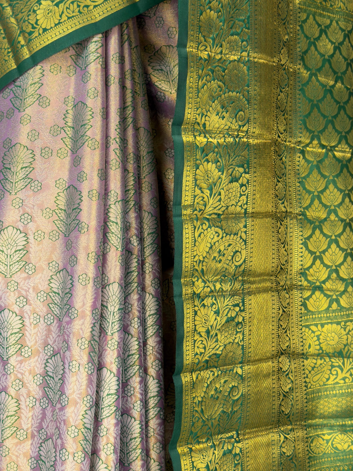 MIMOSA Saree Saree — fleets shot full lifestyle