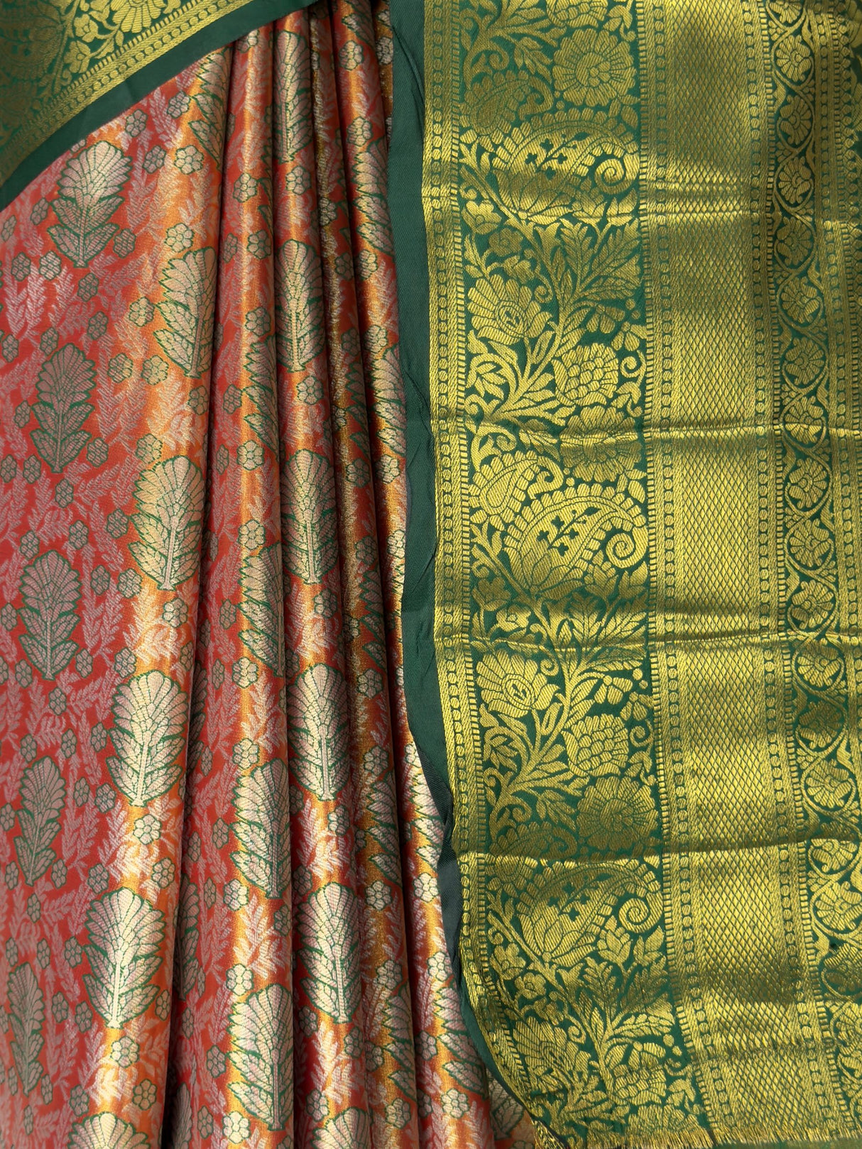 MIMOSA Saree Saree — fleets shot full lifestyle