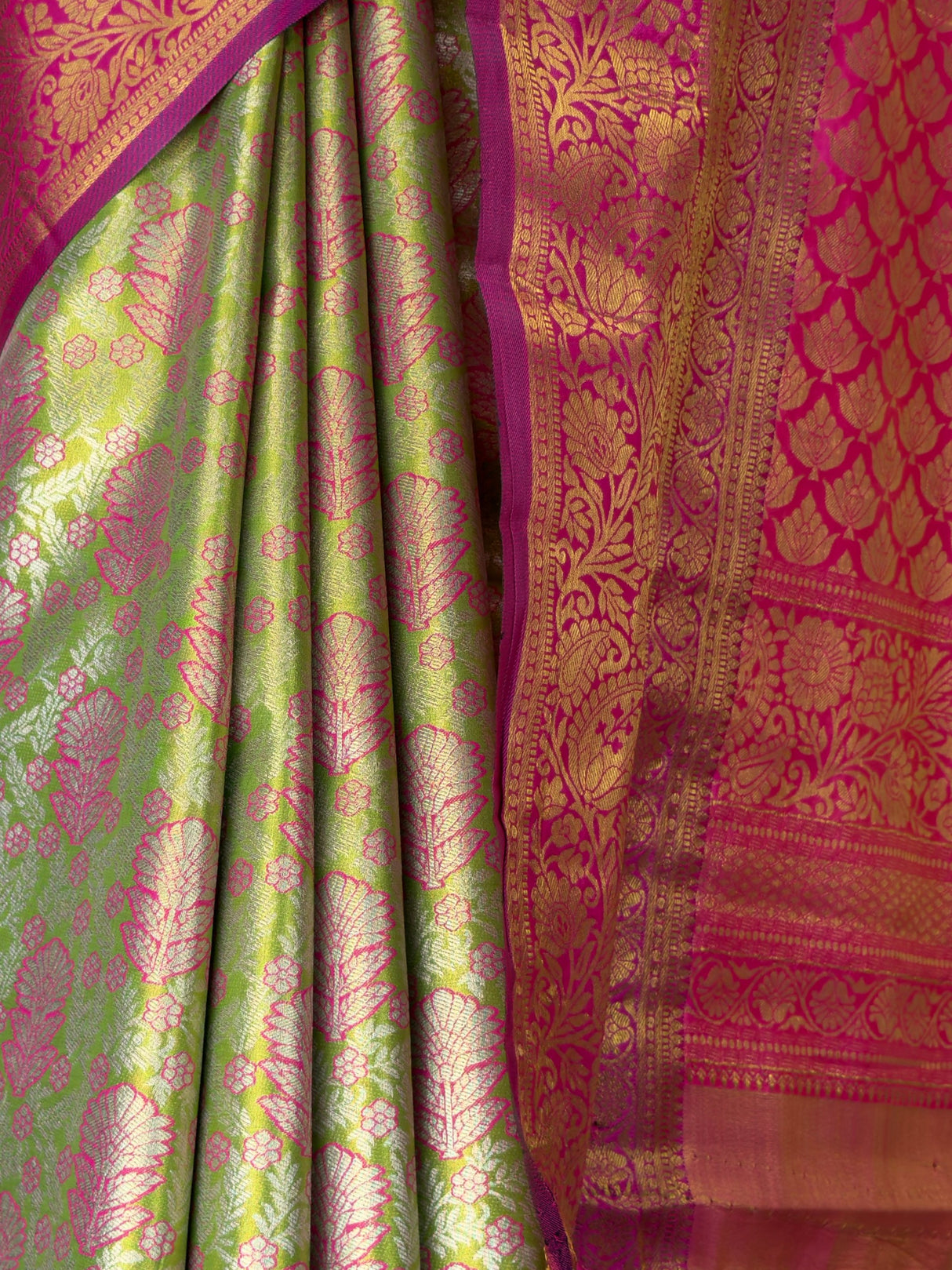 MIMOSA Saree Saree — fleets shot full lifestyle