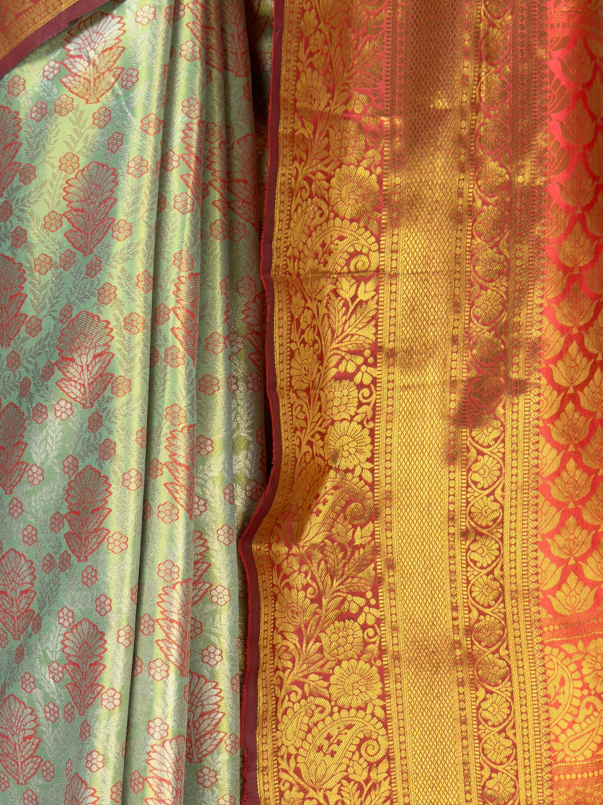MIMOSA Saree Saree — fleets shot full lifestyle