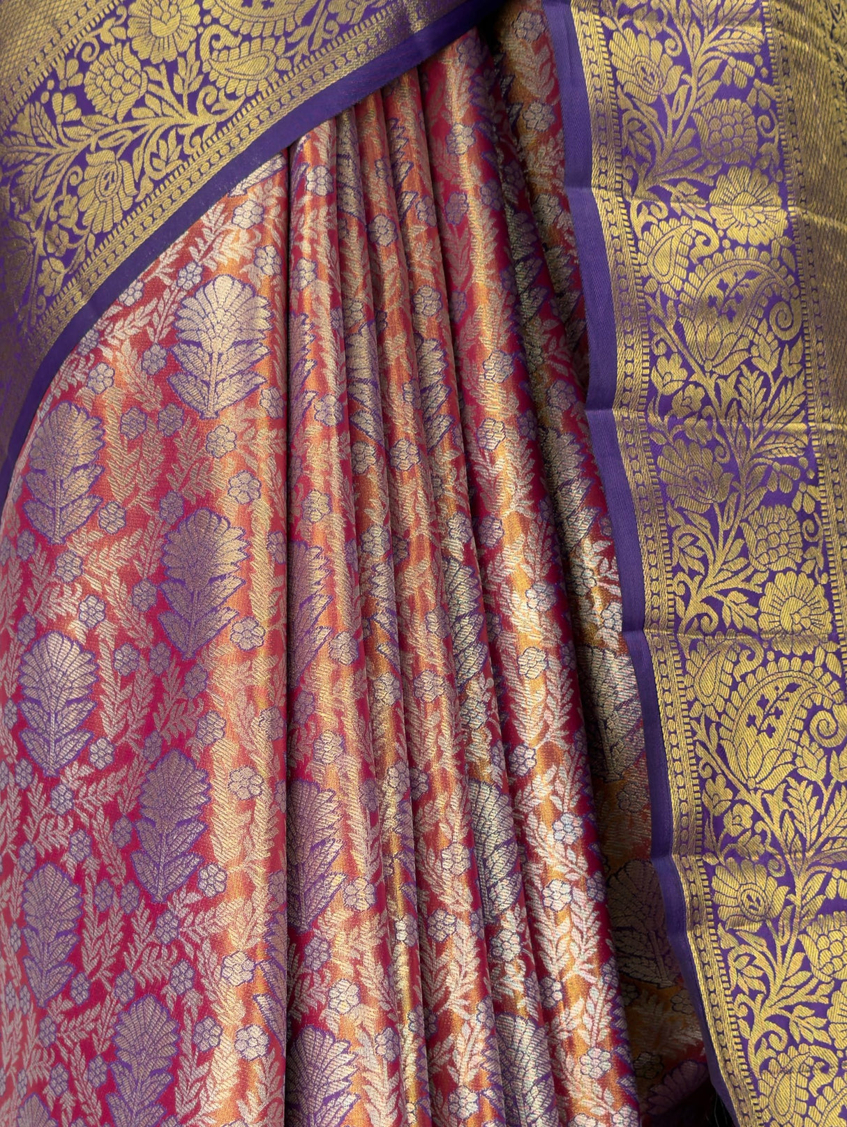 MIMOSA Saree Saree — fleets shot full lifestyle