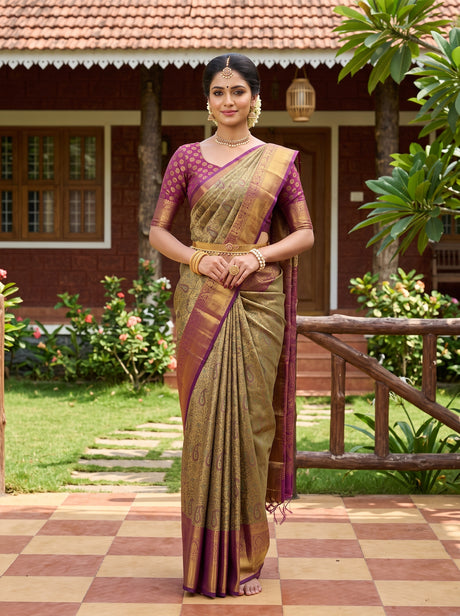 MIMOSA Saree Saree — front view on mannequin