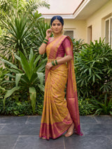 MIMOSA Gold Saree Saree — pose 9 styling detail