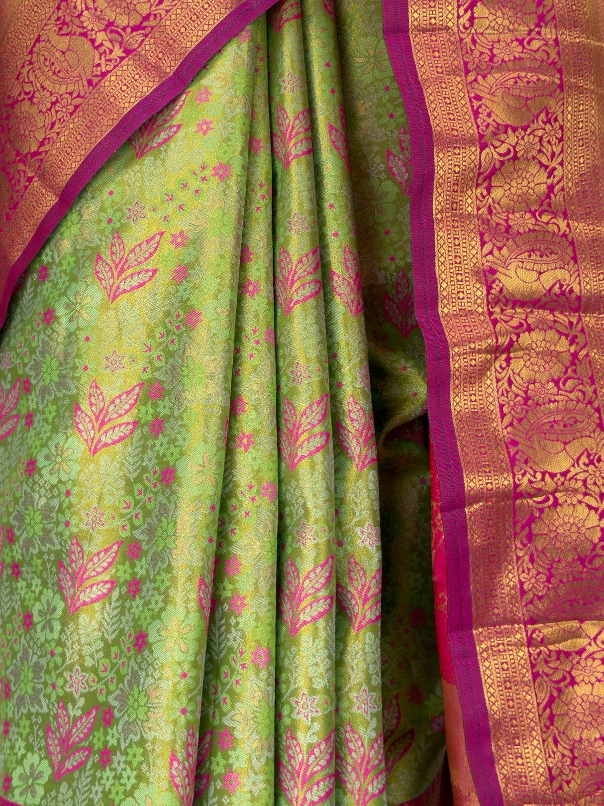MIMOSA Saree Saree — fleets shot full lifestyle