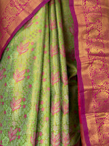 MIMOSA Saree Saree — fleets shot full lifestyle