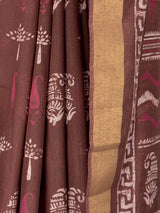 MIMOSA Saree Saree — fleets shot full lifestyle