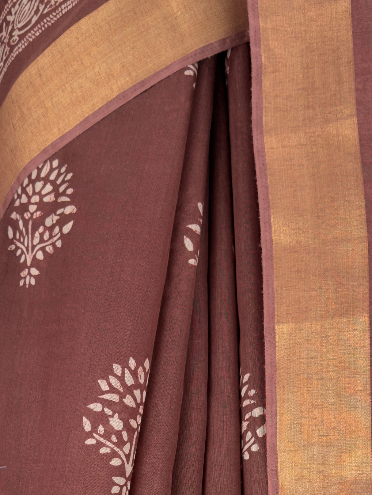 MIMOSA Saree Saree — fleets shot full lifestyle