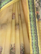 MIMOSA Saree Saree — fleets shot full lifestyle