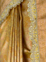 MIMOSA Gold Saree Saree — fleets shot full lifestyle