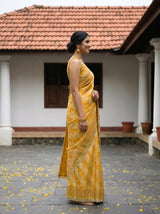 MIMOSA Saree Saree — pose 3 styling detail