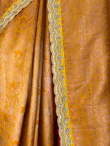MIMOSA Saree Saree — fleets shot full lifestyle