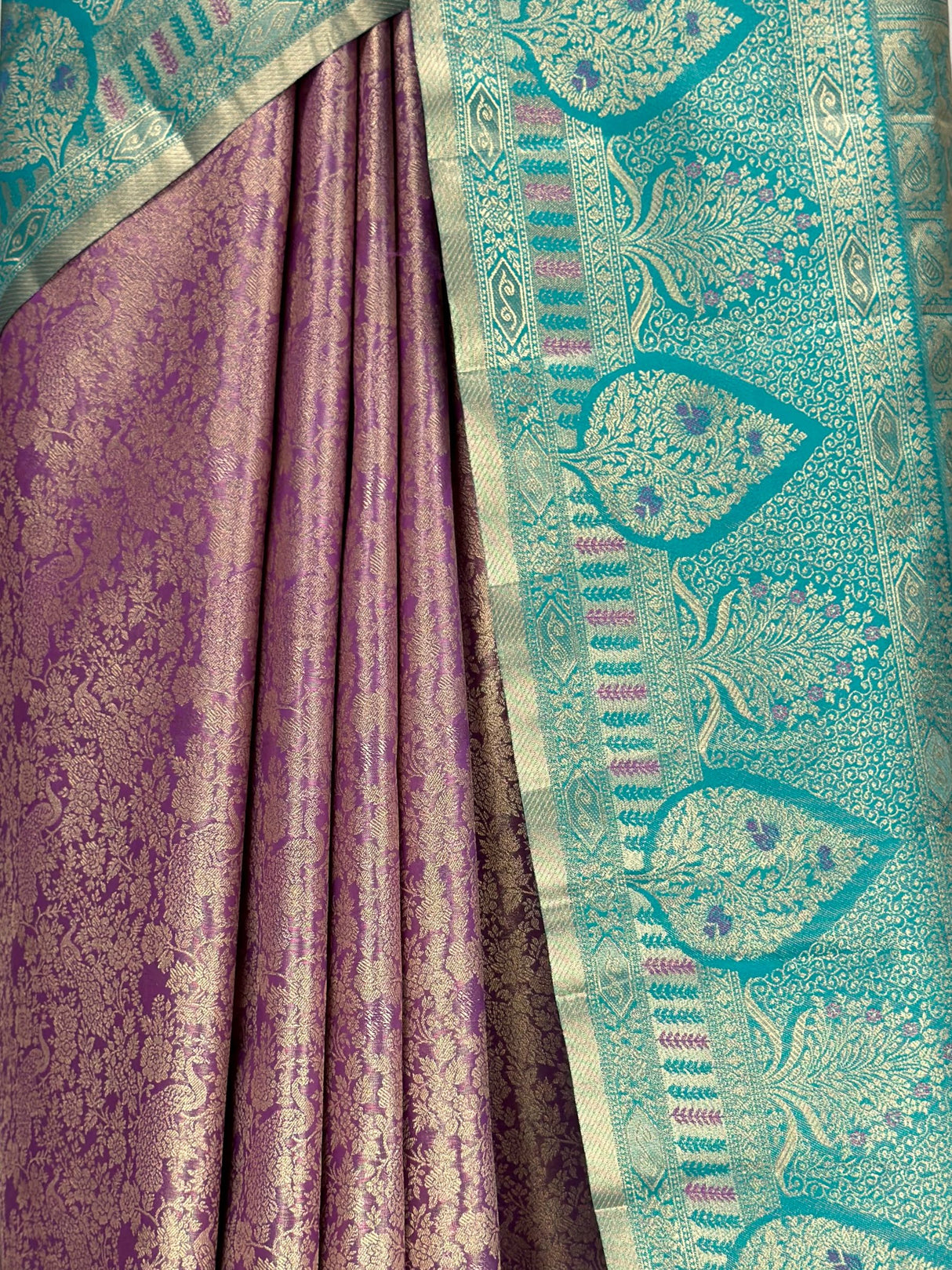 MIMOSA Saree Saree — fleets shot full lifestyle