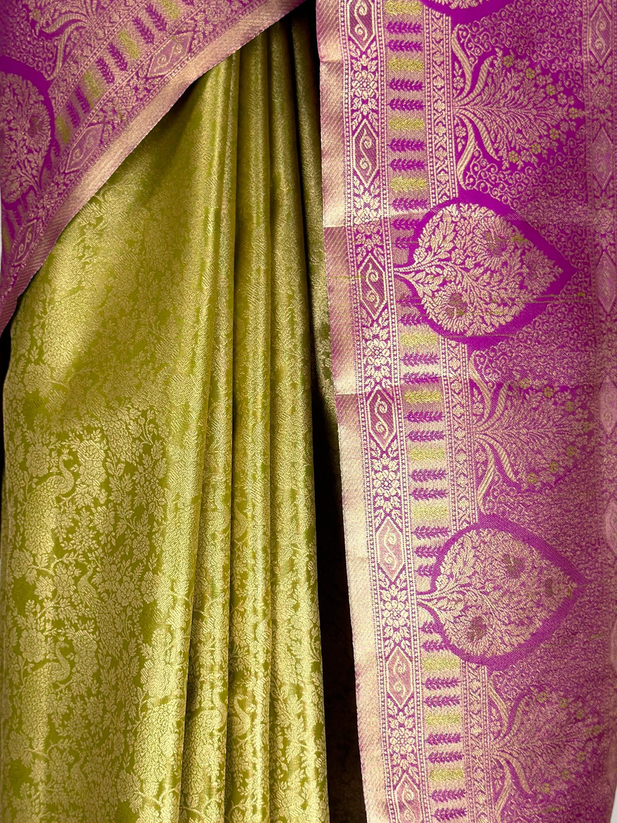 MIMOSA Saree Saree — fleets shot full lifestyle
