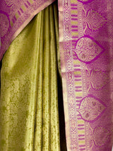 MIMOSA Saree Saree — fleets shot full lifestyle