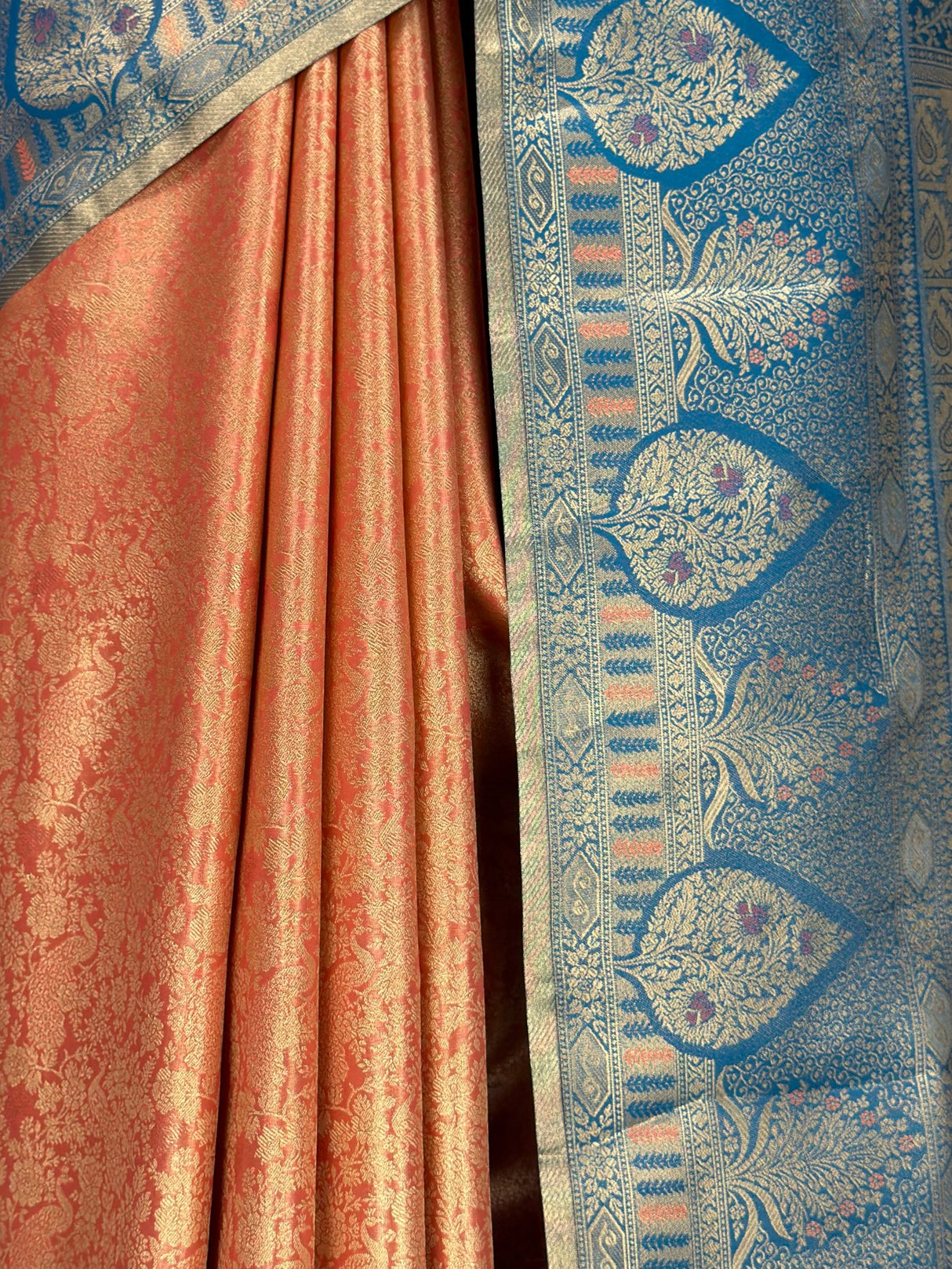 MIMOSA Saree Saree — fleets shot full lifestyle