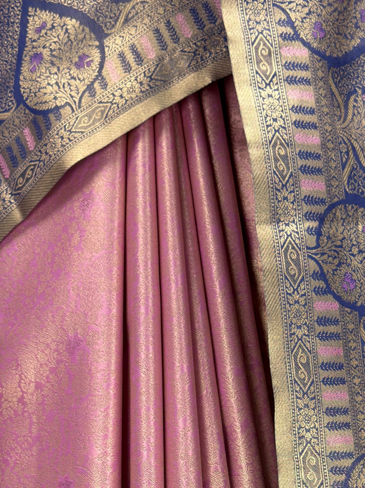 MIMOSA Saree Saree — fleets shot full lifestyle
