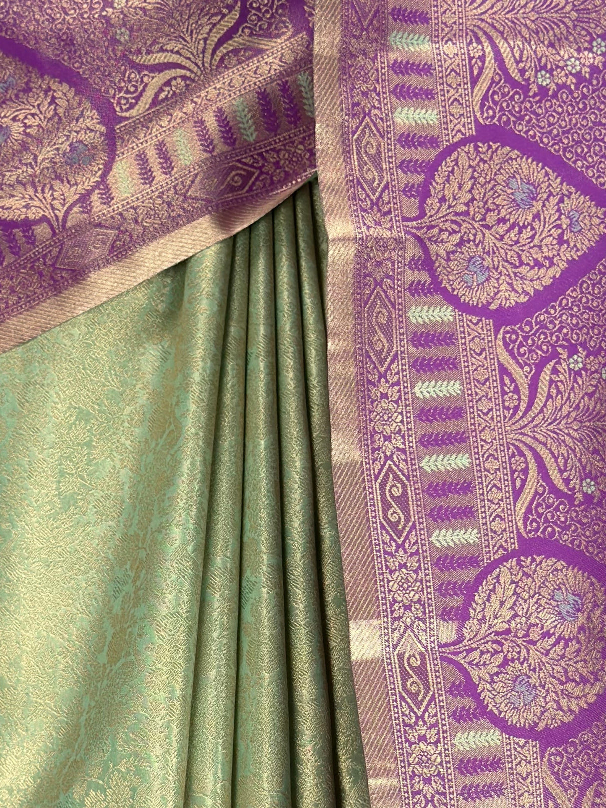MIMOSA Saree Saree — fleets shot full lifestyle